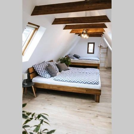 The Cozy Studio Apartment Lauf Lauf an der Pegnitz Eksteriør bilde