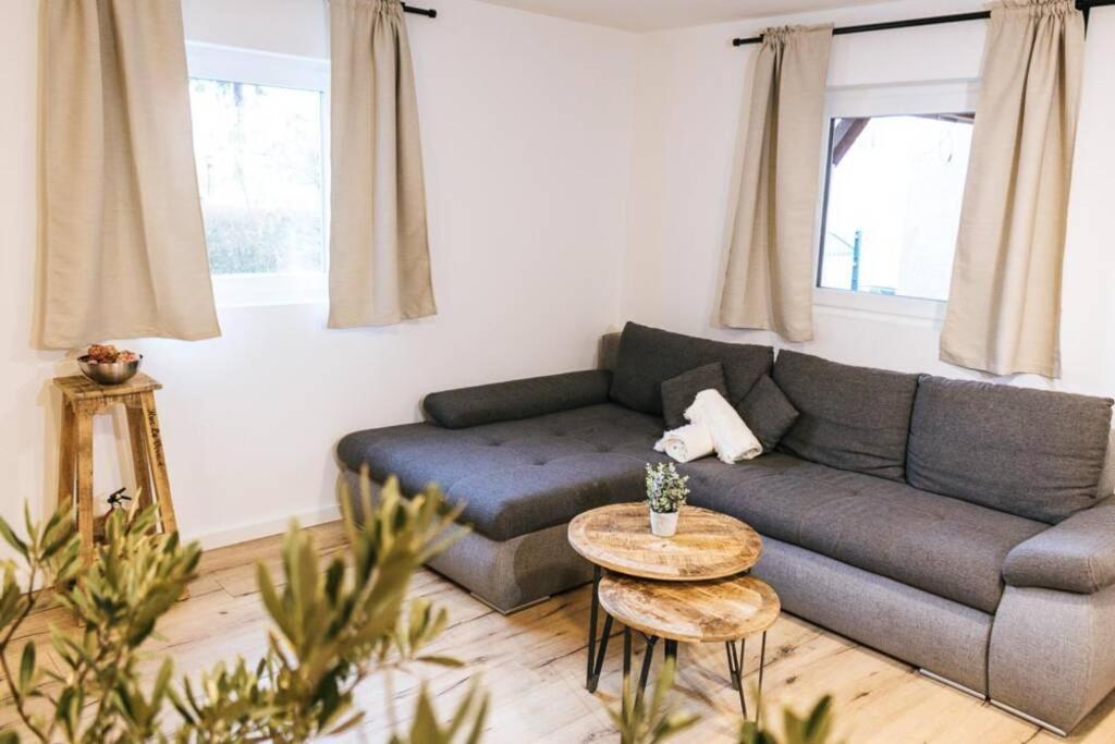 The Cozy Studio Apartment Lauf Lauf an der Pegnitz Eksteriør bilde